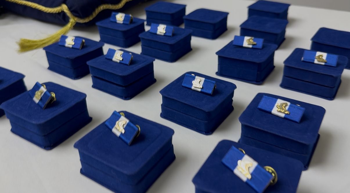 CONDECORACION TRIPILANTES ALBA (18)