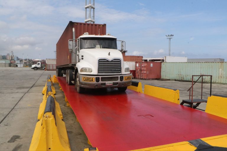 photo_4963276882166090548_w-1-768x512