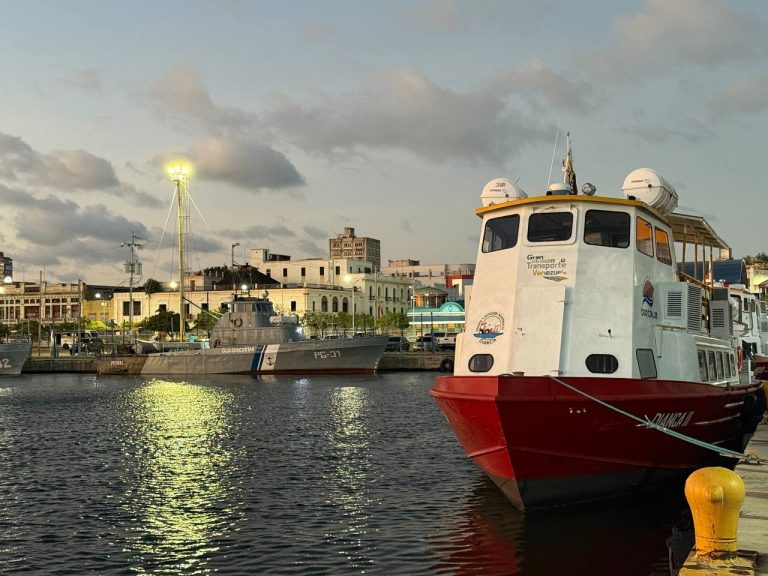 photo_5019692153772379403_y-768x576