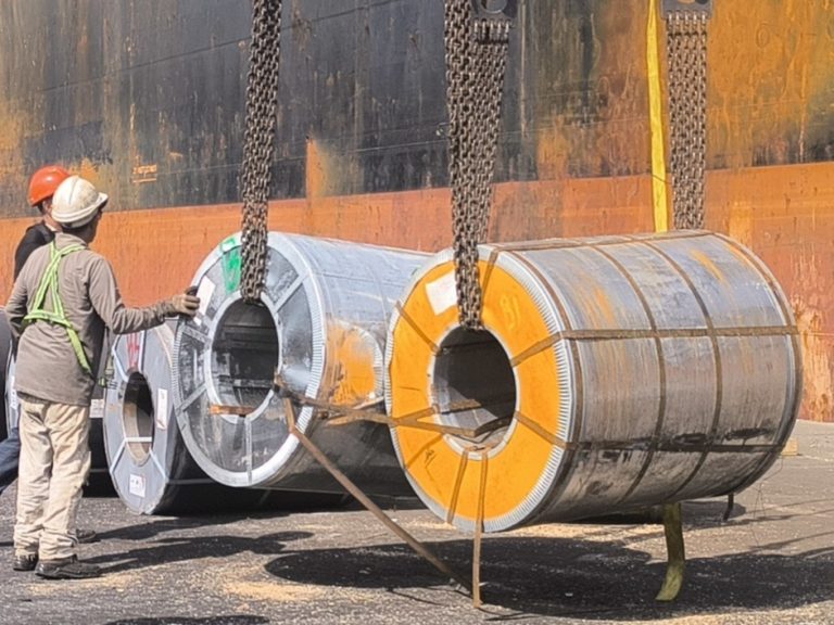 IMG_20260205_122732.jpg-768x576