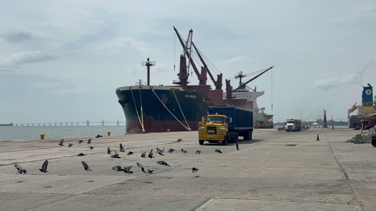 photo_4949893115531692907_y-768x432