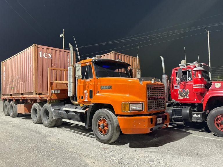 1000621592-1-768x576