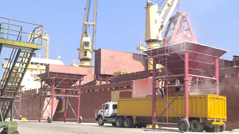 IMG_20260202_101813-768x432