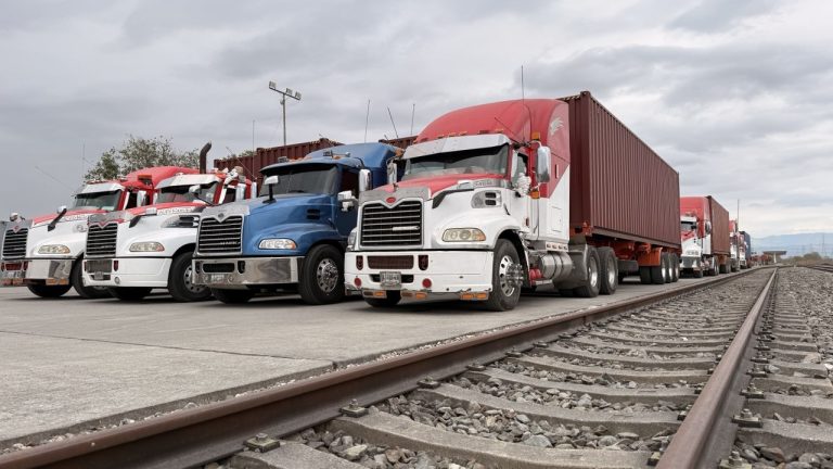 IMG_20260316_093556_884-768x432