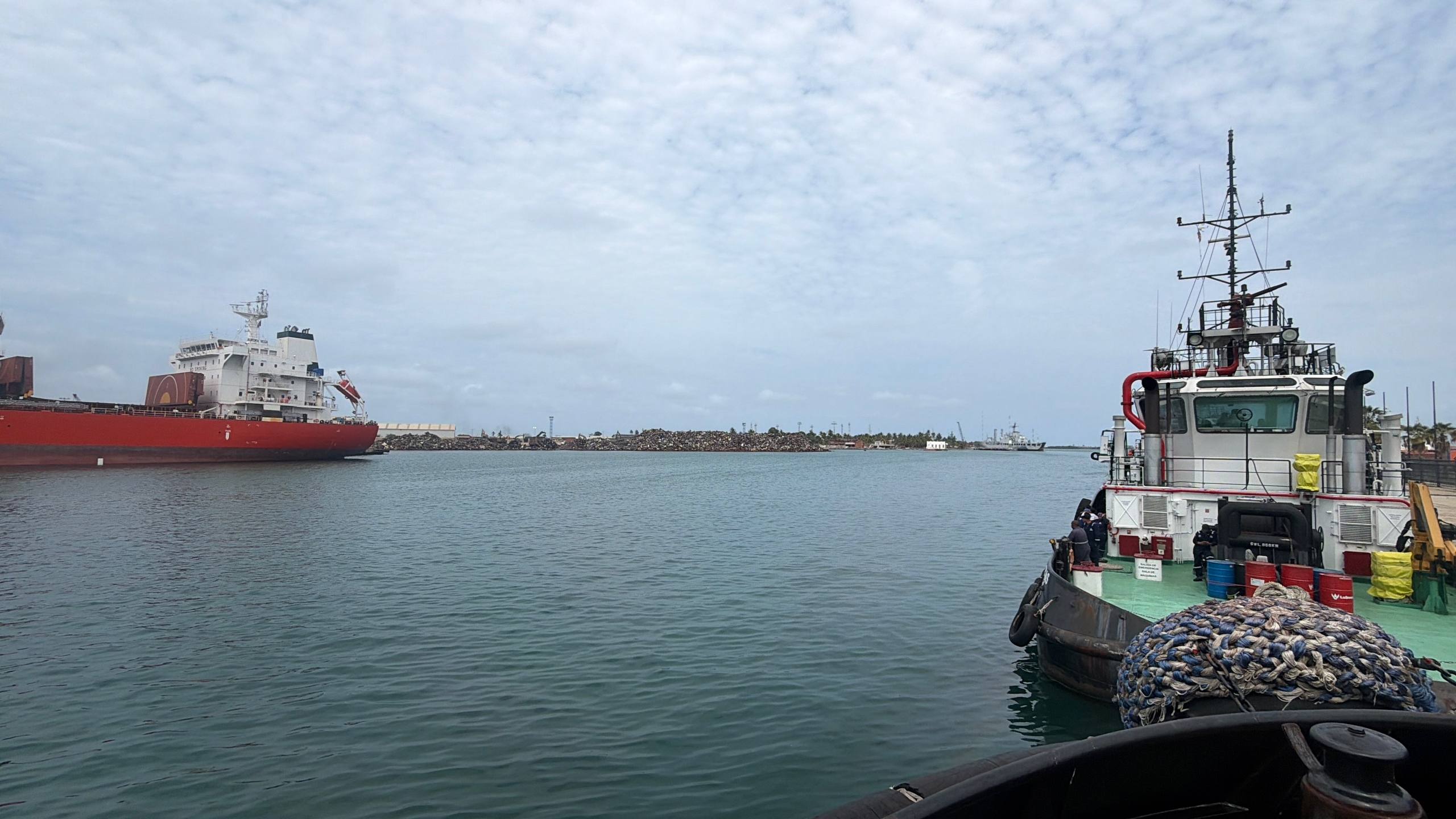 photo_2026-03-12_10-38-54