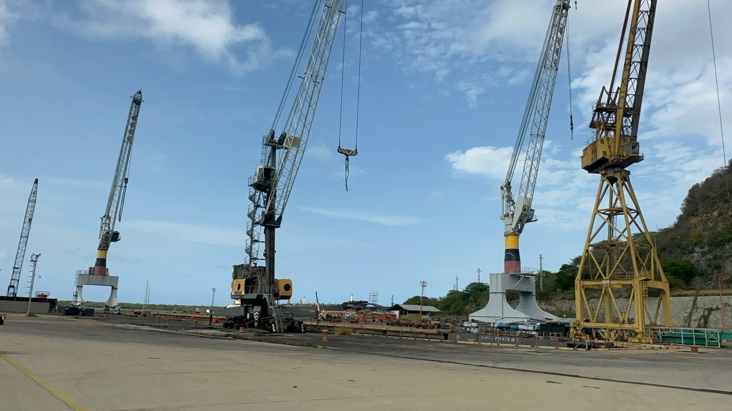 photo_2026-03-12_10-41-34